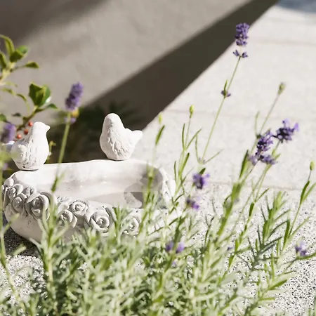 게스트하우스 나 빈치 3*