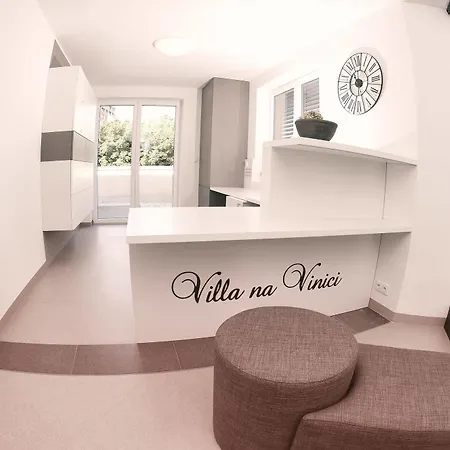Guest house Na Vinici
